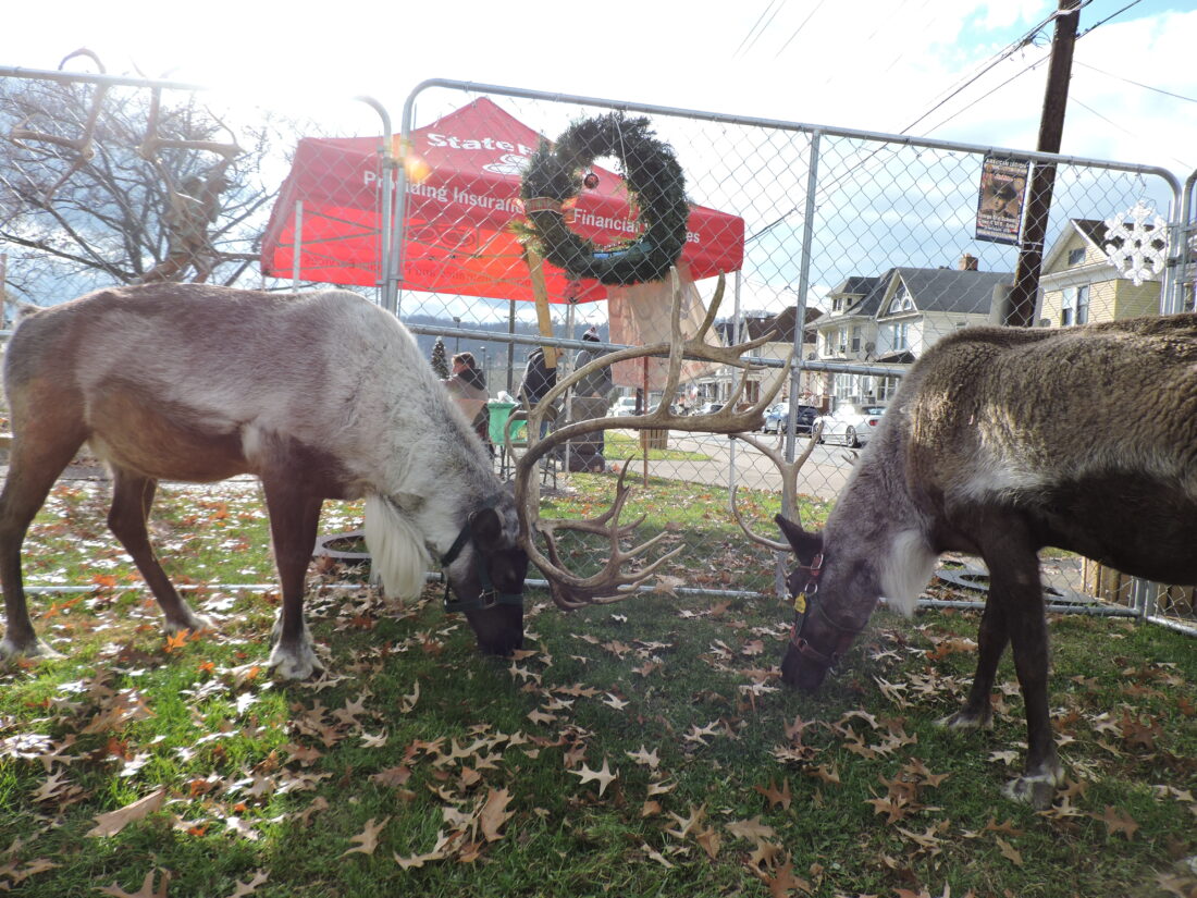 The city of Martins Ferry hosts 36th annual Christmas parade News